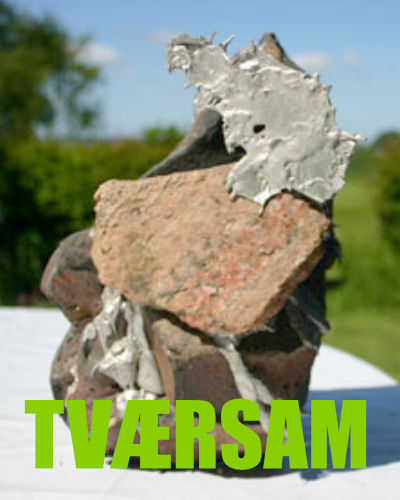 Tværsam NGO MØN